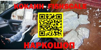 шишки Обь