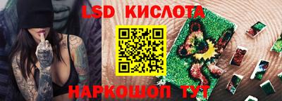 шишки Обь