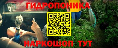 шишки Обь