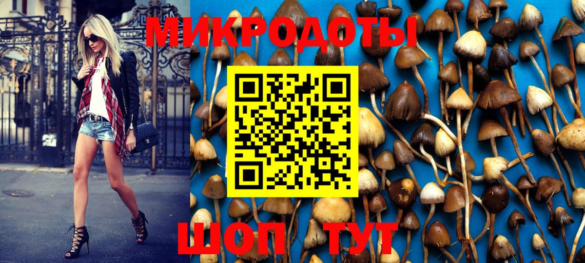 Псилоцибиновые грибы GOLDEN TEACHER  закладки  Солнечногорск  Вход с VPN 