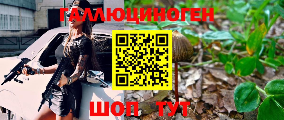 А ПВП Солнечногорск