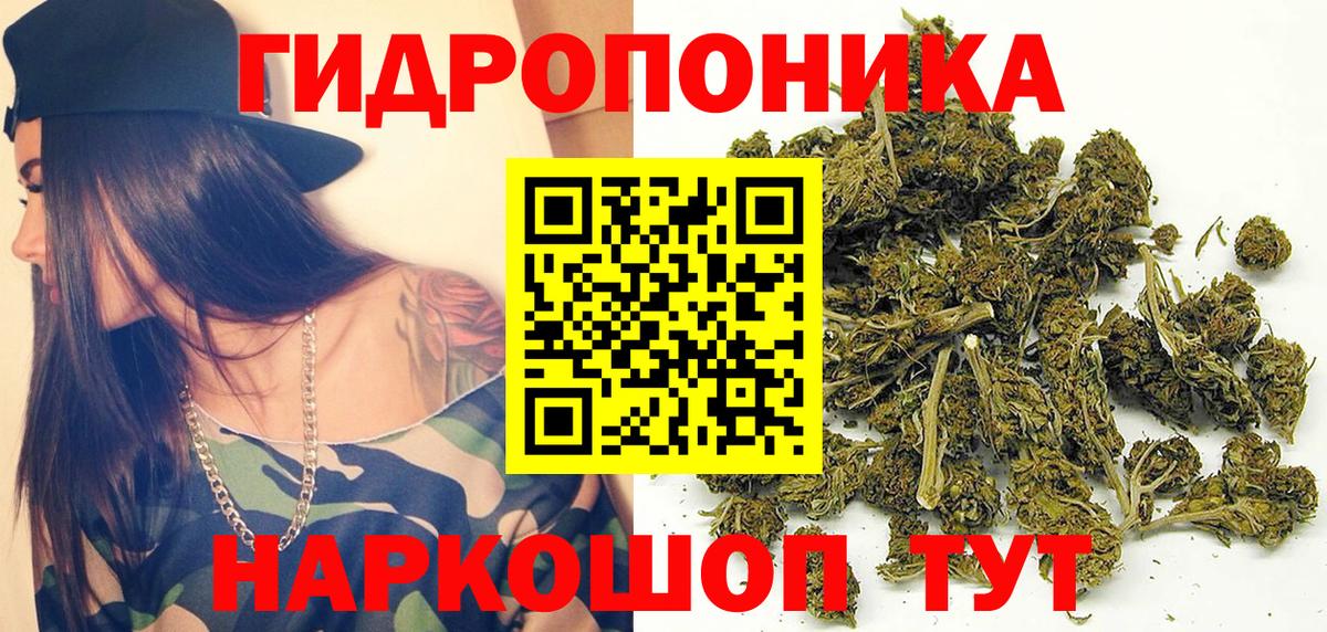 Бошки Шишки ГИДРОПОН Солнечногорск